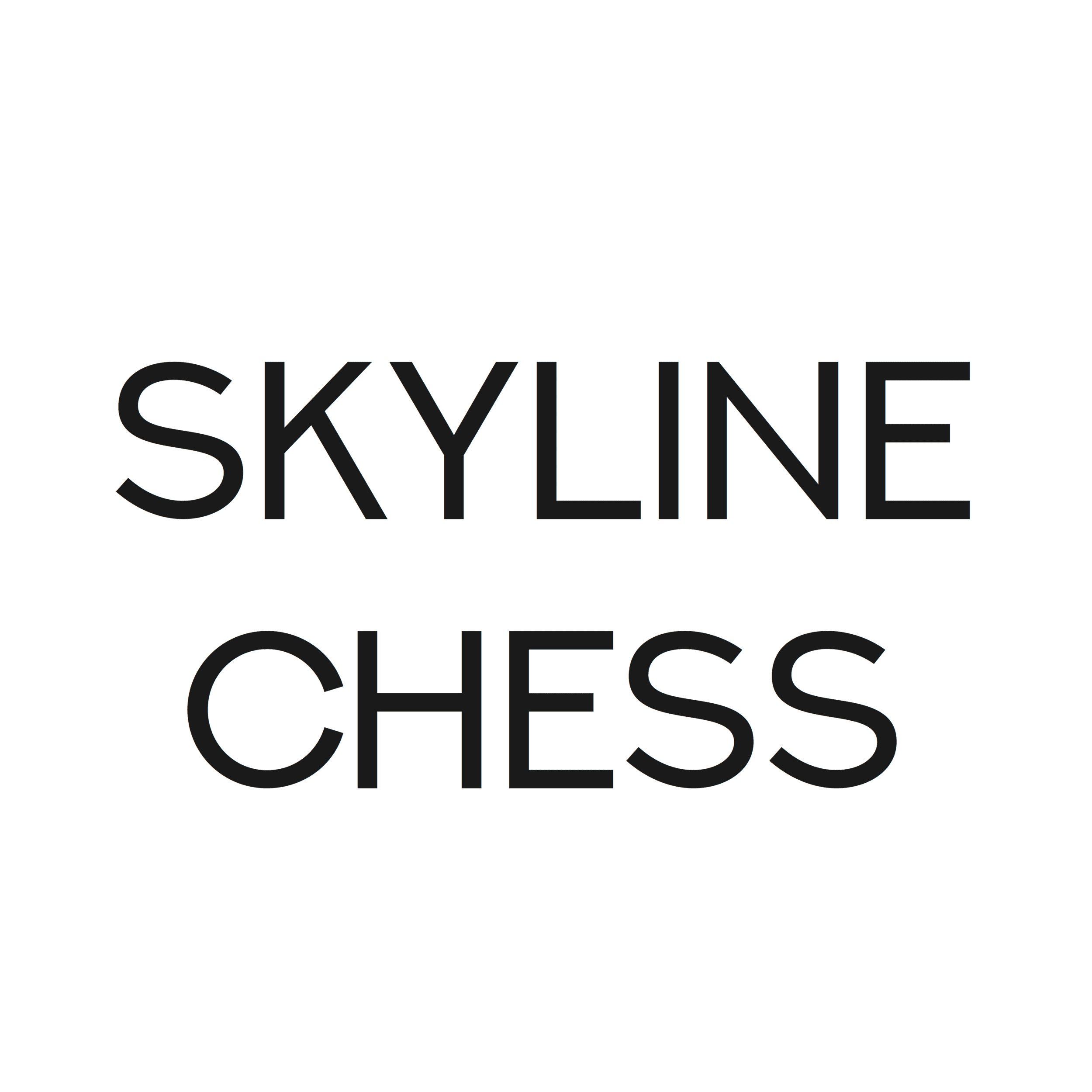Skyline Chess, magasin de jeu et de déco à Caen